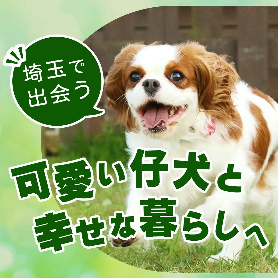 popup_banner