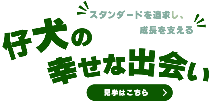 犬種ごとのスタンダードを追求